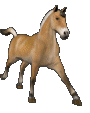 animated horse image that links to baljaa.neocities.org